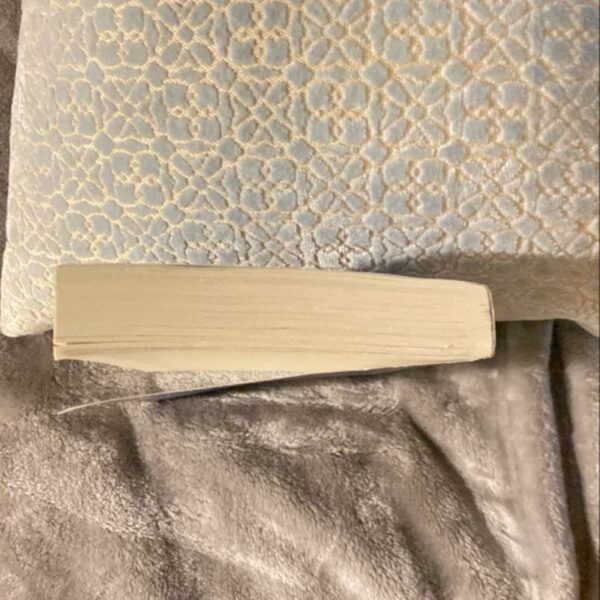 The Housemaid - Image 3