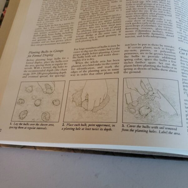 Illustrated Guide to Gardening - Image 2