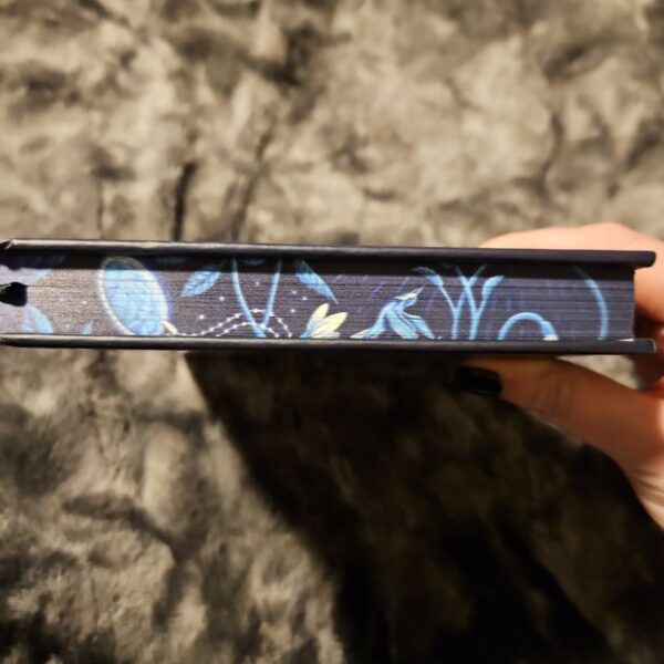 Stardust - Image 3