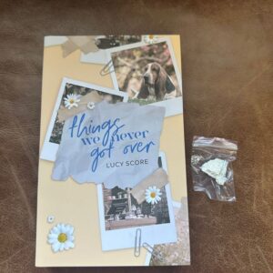 Things We Never Got Over Lucy Store Eternal Embers X The Book Is Loved Special