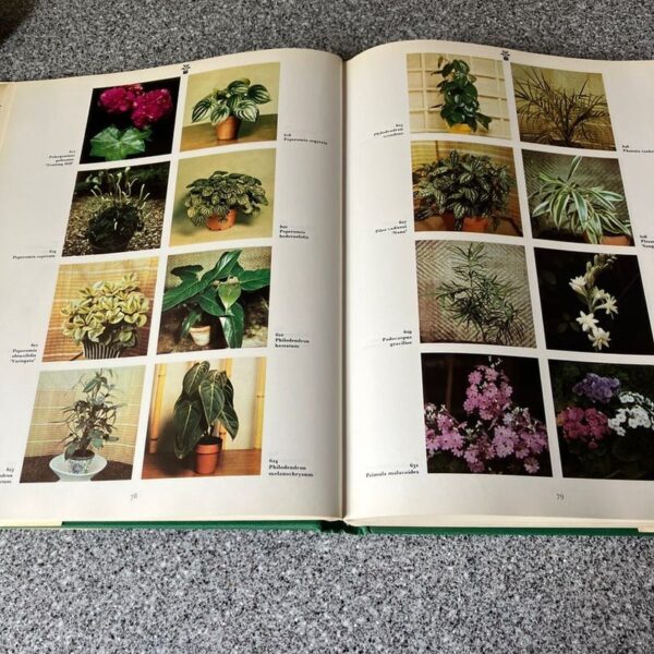*Dictionary of Garden Plants in Colour - Image 3