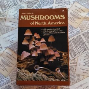 Mushrooms of North America