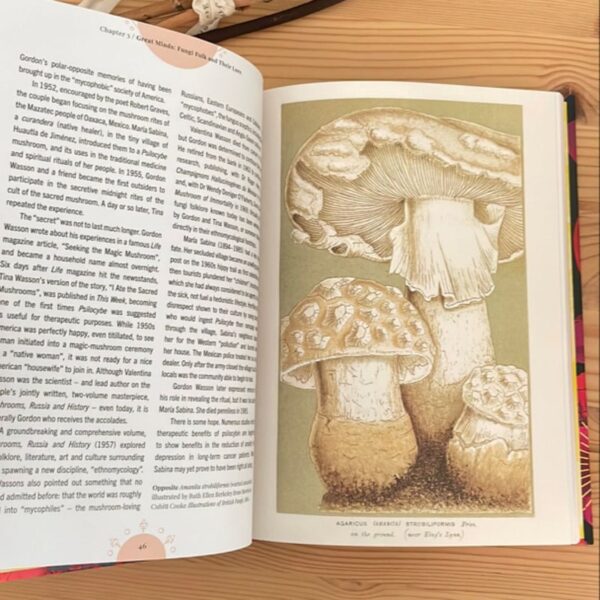 Kew - the Magic of Mushrooms - Image 4