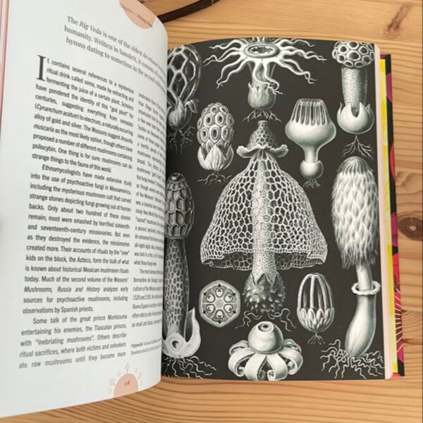 Kew - the Magic of Mushrooms - Image 5